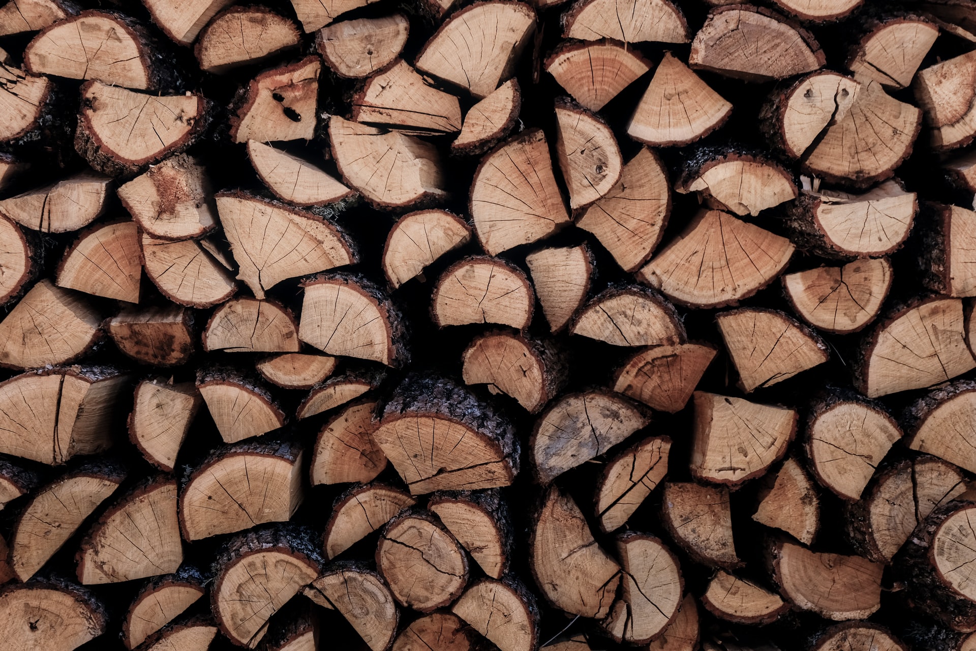 brown and black wood logs